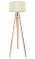 tripod-foto-279p.jpg